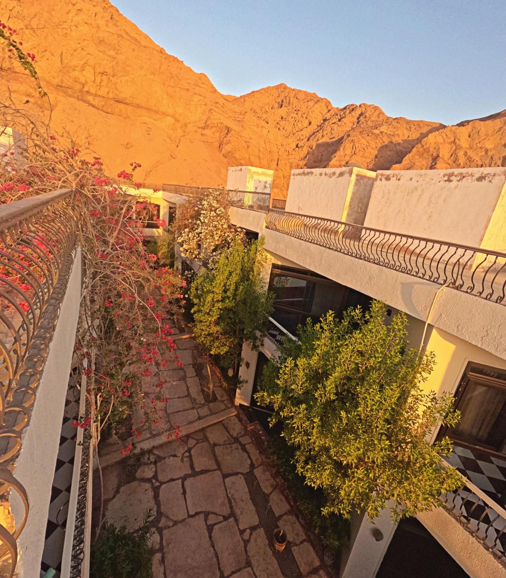 Dahab Bay Hotel 外观 照片