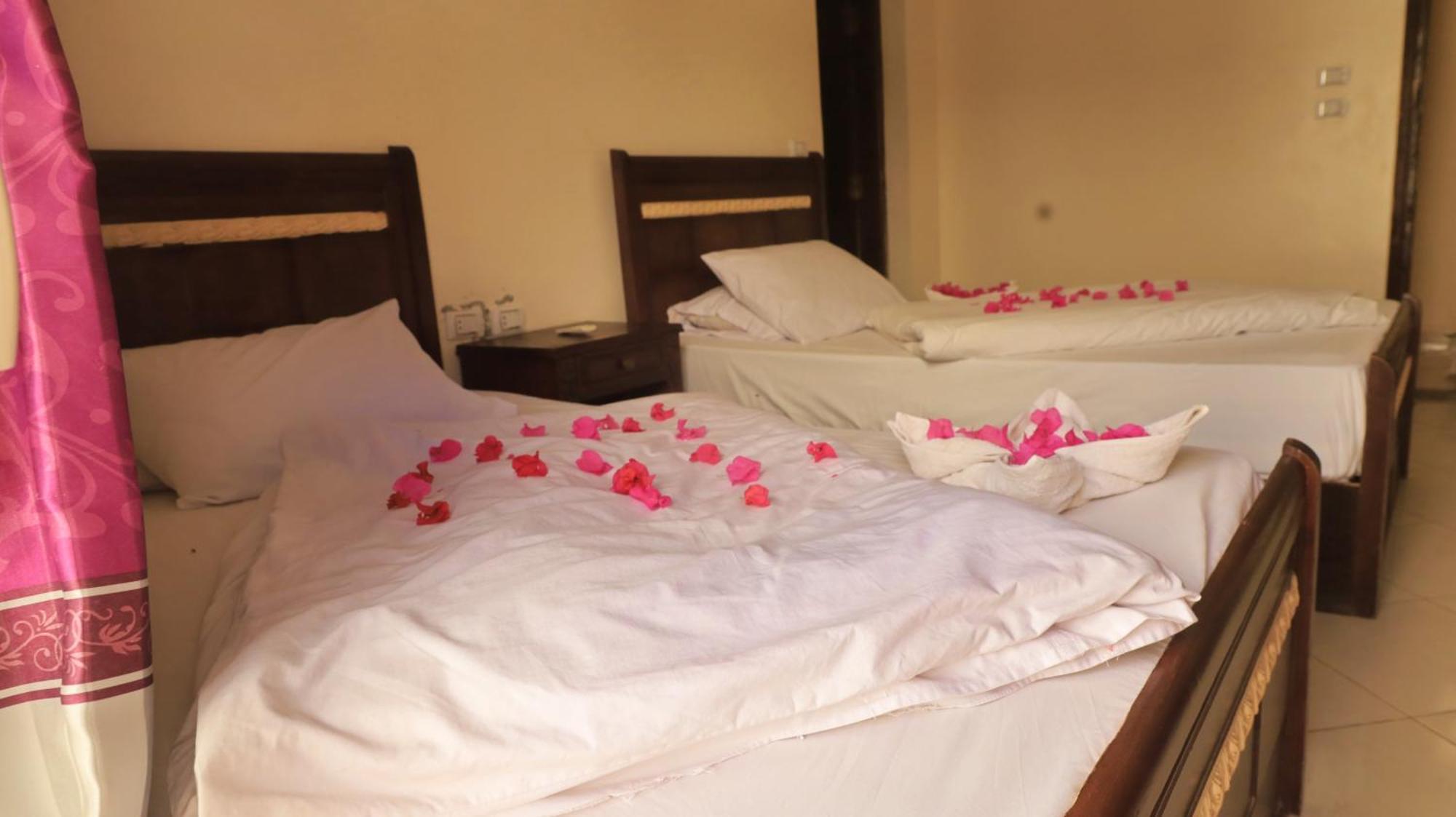 Dahab Bay Hotel 客房 照片